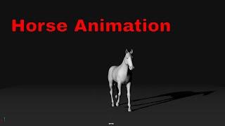 Callum Highfield - Horse Walk to Canter 3D ANIMATION