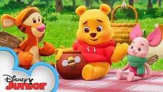 Playdate with Winnie the Pooh | Piglet, Tigger and the Cardboard Box | Episode 4 | @disneyjr