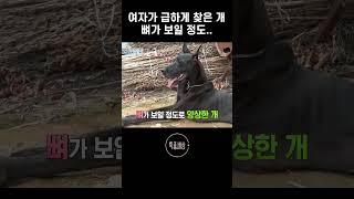 개를 돌보는 여자가 급히 찾아간 곳에는 #shorts