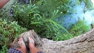 Maryland local pond bass fishing