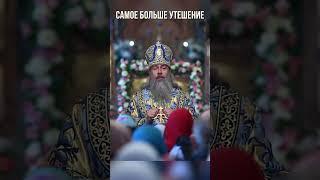 Самое большое утешение