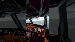 Landing at LFPG rwy26L #737 #homecockpit #flight_simulator