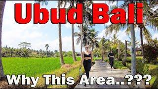 Maybe Not many Tourists Know About This Peaceful Area In Ubud Bali..!!! Will You Stay Here..???