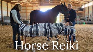 Real Person Reiki | Unintentional ASMR | Horse Healing