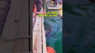 두미도 남구마을에서 낚시 꽝쳐도 회를 먹을수 있는 방법 #통영 #두미도 #굴밭기미리조트