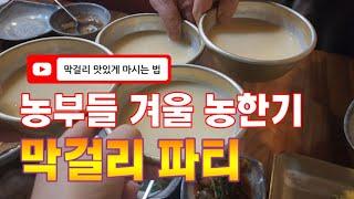 한해 농사 마치고 농부들과 겨울 농한기 막걸리 파티 #막걸리 #막걸리한잔 #막걸리맛있게마시는법 #포천맛집