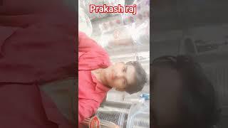Prakash raj kk comedy short video 