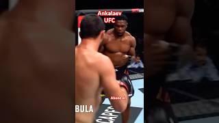#ufc #mma #ankalaev King Man Ankalaev #boxing