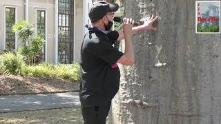 Les Becs' Oz n° 09 avec notre ami LE BAOBAB du SSO, ce 5 sept 2021 - St Denis de la Réunion