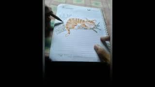 cat drawn original (4:5)