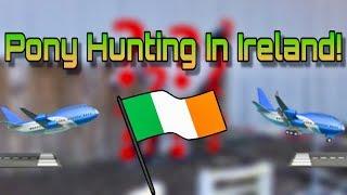 Viewing Ponies in Ireland! // Vlog #19