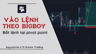 #1. Hướng dẫn vào lệnh chuẩn theo Bigboy tại điểm xoay chiều của giá | keyvolume | FX DREAM TRADING