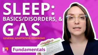 Sleep Basics, Sleep Disorders, & General Adaptation Syndrome - Fundamentals of Nursing | @LevelUpRN