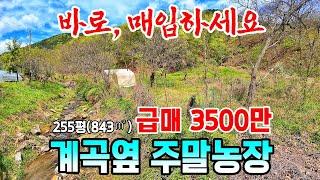급매 3500만원 계곡 옆 나오기 힘든 귀한 토지매매 바로 매입하세요.주말농장 체류형쉼터 충남 부여부동산~행운땅 행운집부동산tv 전원주택매매 농가주택매매 시골집매매 싼땅