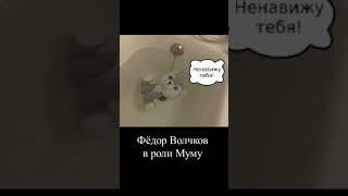 Игра "Муму и Герасим" #федорволчков #saveroerichmuseum #shorts #гигиена #морскиежители #подводныймир