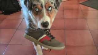 100tricks100days # 21 day Anchoring the shoe and pull down it / Kösd ki a cipőt és vedd le
