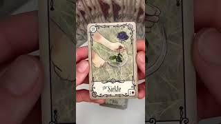 Significados de Lenormand, parte 3 #lenormand #oraculo