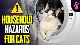 ️Household Hazards For Cats | Furry Feline Facts ️