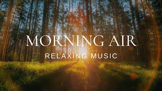 Peaceful Relaxing Guitar | Work Study Read Focus | Morning Air