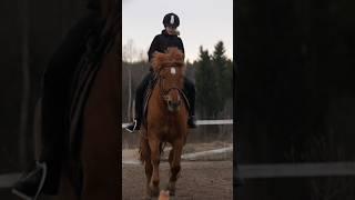 Kassu️// oon menny lähiaikoin Tupsulla, Kassulla, Adolla ja Riol️