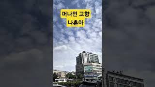 #머나먼고향 #원곡  나훈아#신성 #류원정