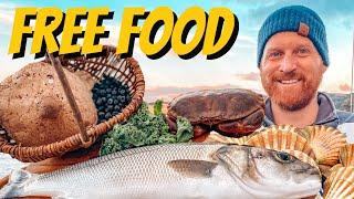 Coastal Foraging - Fish (Bass), Crab, Plus Wild Edibles & A Cook Up 