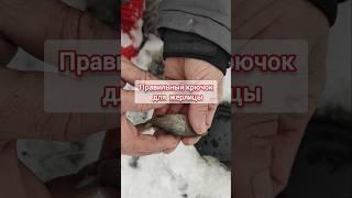 Лучшие крючки на жерлицы #зимняярыбалка #рыбалка #жерлицызимой #жерлицы