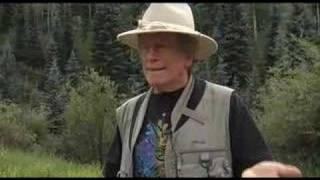 KNOW YOUR MUSHROOMS Excerpt