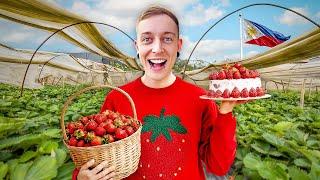 I Tried EVERYTHING in the Philippines Strawberry Capital! 