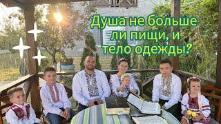 Душа не больше ли пищи, и тело одежды?