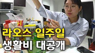 동남아 물가 진짜 저렴할까? 라오스 혼자 사는 여자의 현실적인 생활비 이야기 [라오스일기 ep.06]