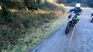 Enduro loop in the woods ends Early