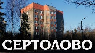 СЕРТОЛОВО | ВОЕННЫЙ ГОРОДОК, НОВОСТРОЙКИ, ГОРОД У ТРАССЫ