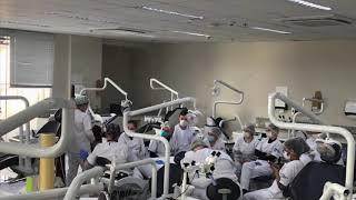 Conheça a Especialização Endodontia SL Mandic