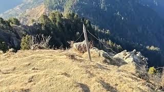 Aaj Gaya tha main apni Mata Rani ke temple Naga tikkar shimla Himachal Pradesh matiyana