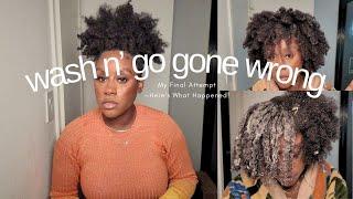 4C Hair Reality Check: My FINAL Attempt at a Wash 'N Go— Spoiler Alert: Twist-Out Wins Again!