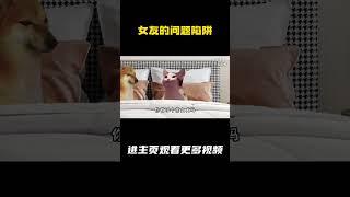 女友的问题陷阱，男友决定这样回答