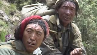 The Journey of Tibetan Refugees: A Struggle for Freedom Across the Himalayas