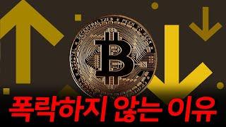 폭락하지 않은 이유