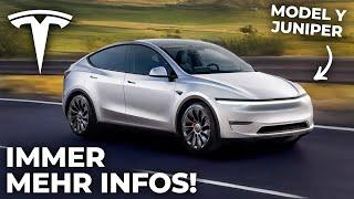 Tesla Model Y Juniper: More and more information and sightings! (Tesla News)