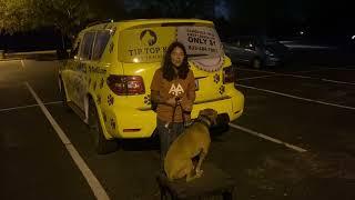 Woodlands, TX Dog Training | Tip Top K9 Reviews
