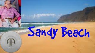 Sandy Beach - Finding and Connecting To Your Higher Power - AA Speaker