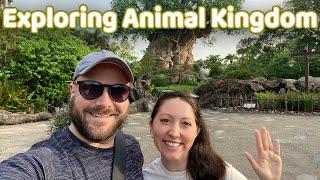 Disney Animal Kingdom | Tusker House | Animation Academy | Walt Disney World | Adults in Disney