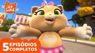 44 Gatos | Top 5 Pilou | Episódios completos | Desenhos animados para crianças