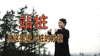 站桩的奥秘，先了解，再体会，从这里开始逐步走入桩的妙境