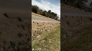 A walk around machakos teachers college road, MercyNguku The World Traveller 