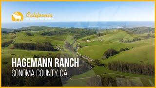 Coastal Ranch for Sale | Hagemann Ranch | Sonoma County, California