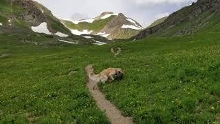 Hiking Columbine Lake San Juan National Forest Colorado