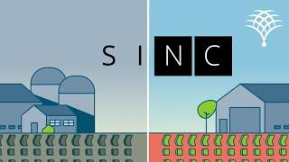 SINC Animated Video