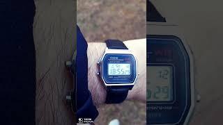 CASIO W168 RETRO VINTAGE